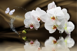 Фотообои 3D FLOWERS ✔️ 【Oboi.kz】